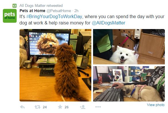 pets_at_home.JPG