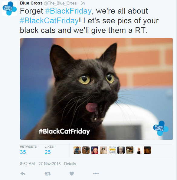 blackcatfriday.jpg