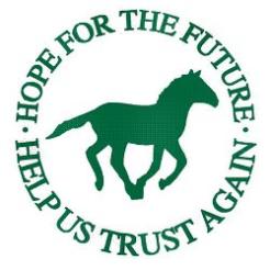 Horse charity faces closure amid claims it is owed £70k by council