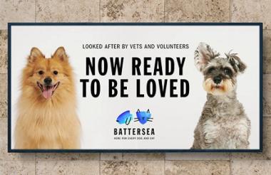 battersea rehome a dog