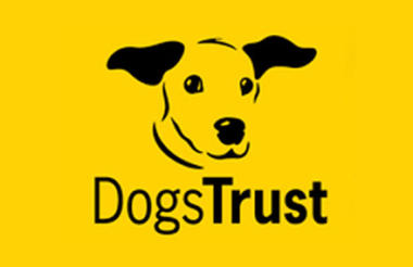 facts about dogs trust
