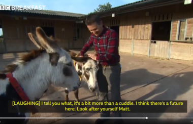 Society Diary Hungry Donkeys A Chewbacca Mask And Emojis - 