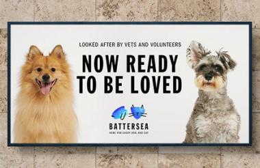 Logo Battersea Dogs Cats Home Design Logo Battersea Dogs Cats Home Design